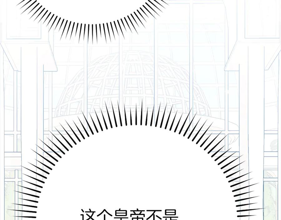 第244页
