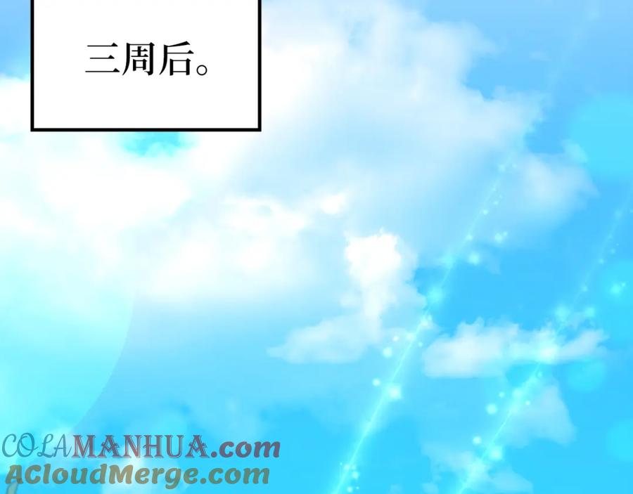 第217页