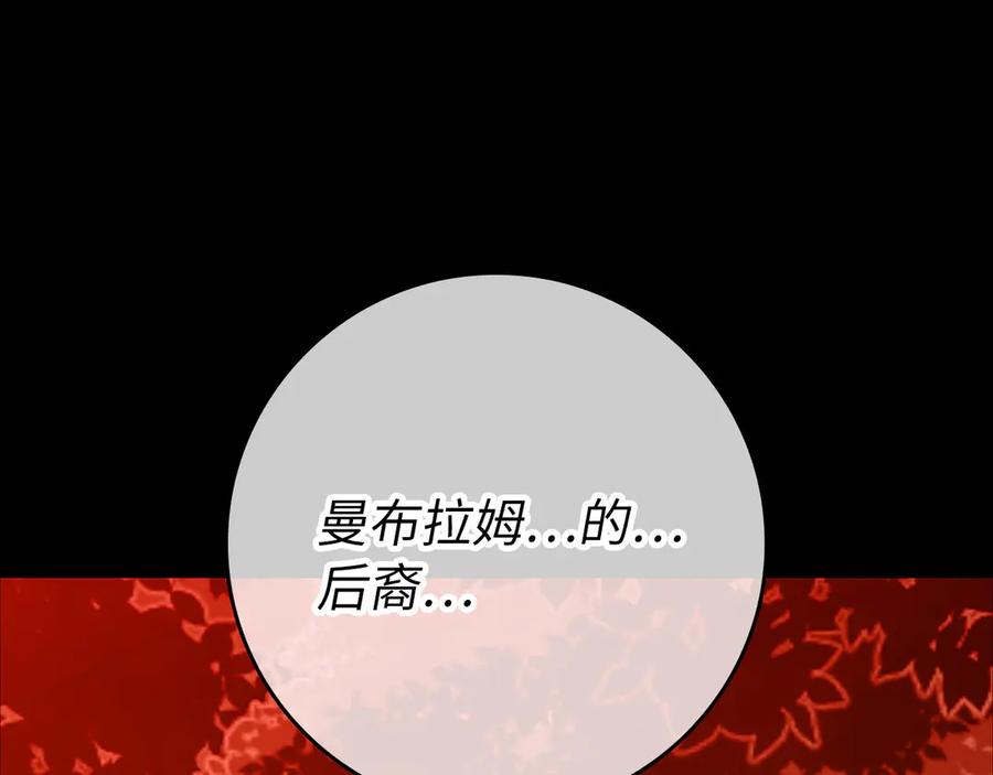 第240页