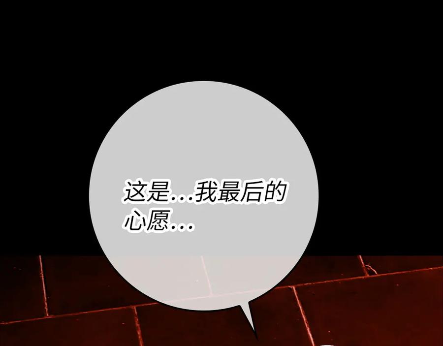 第243页
