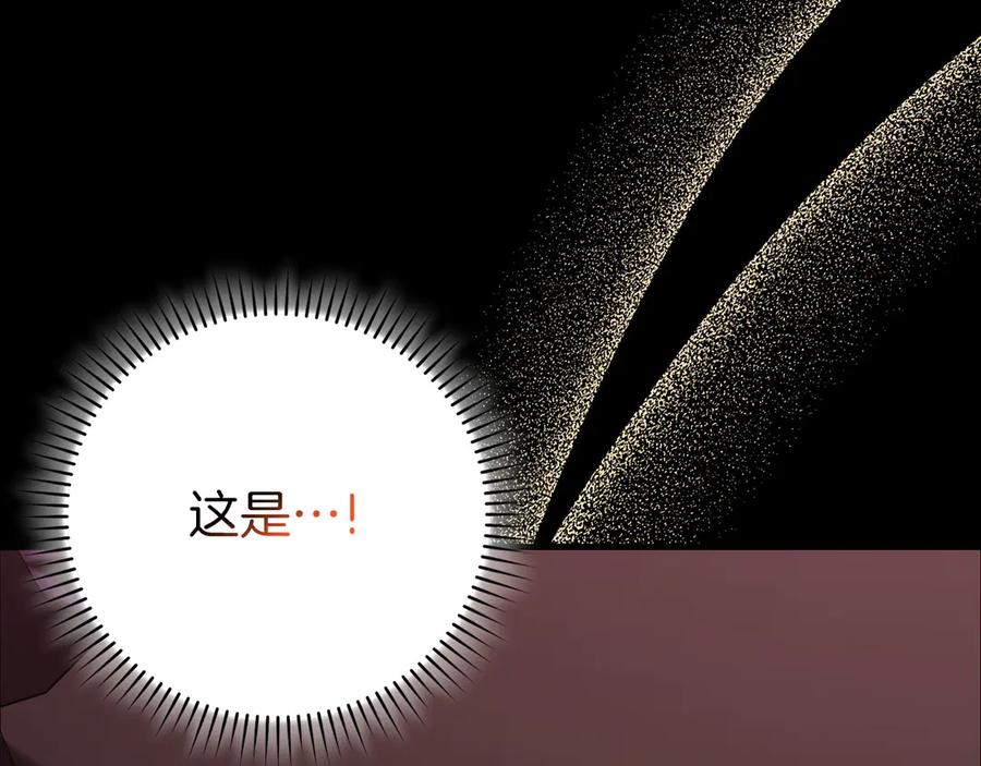 第246页