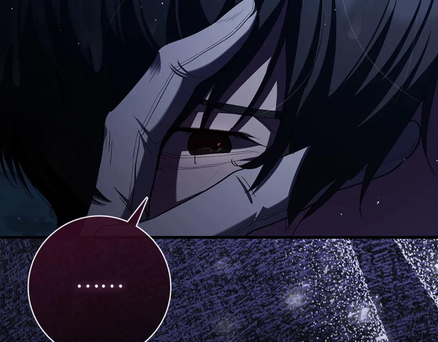 第223页