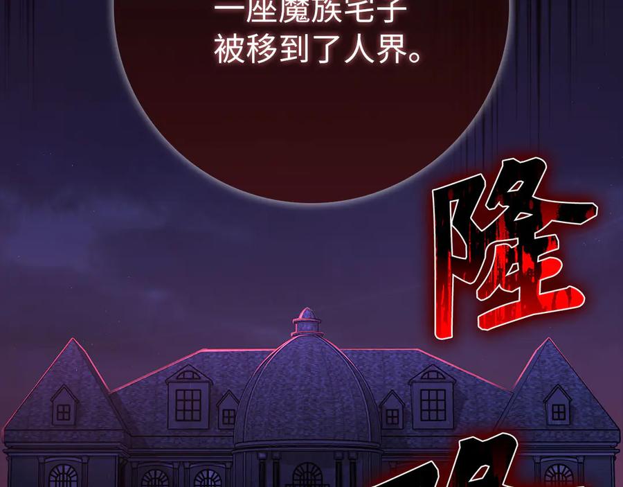 第247页