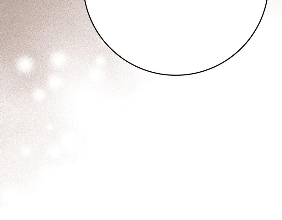 第223页