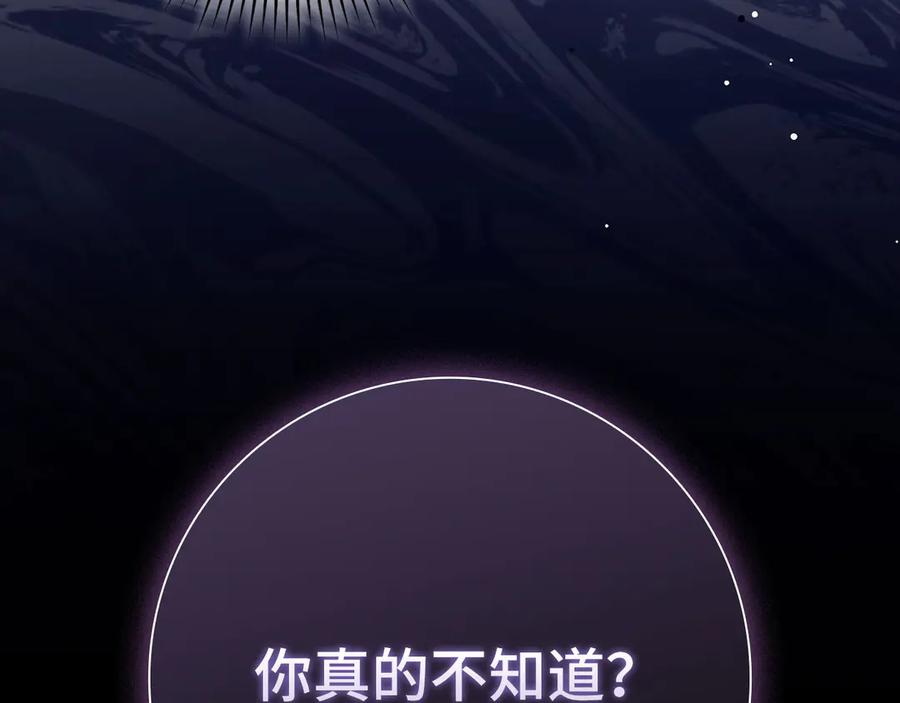 第260页