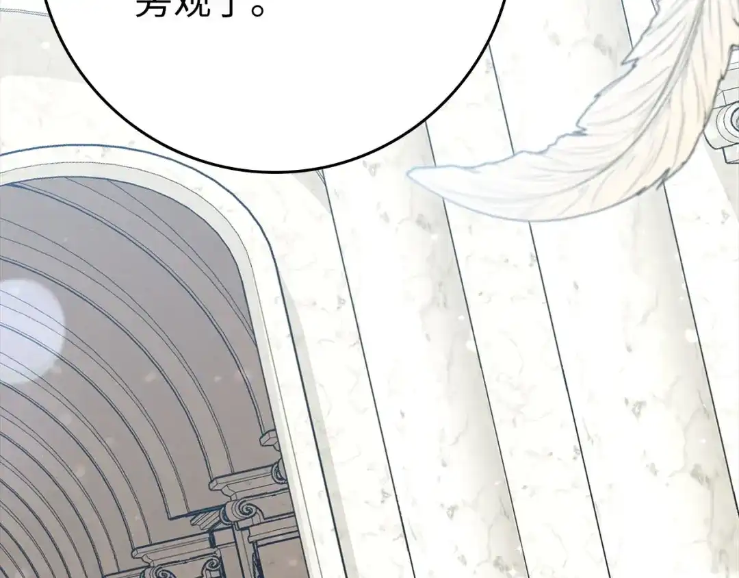 第242页