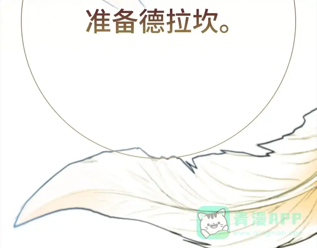 第246页