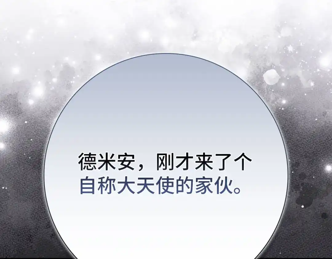 第204页