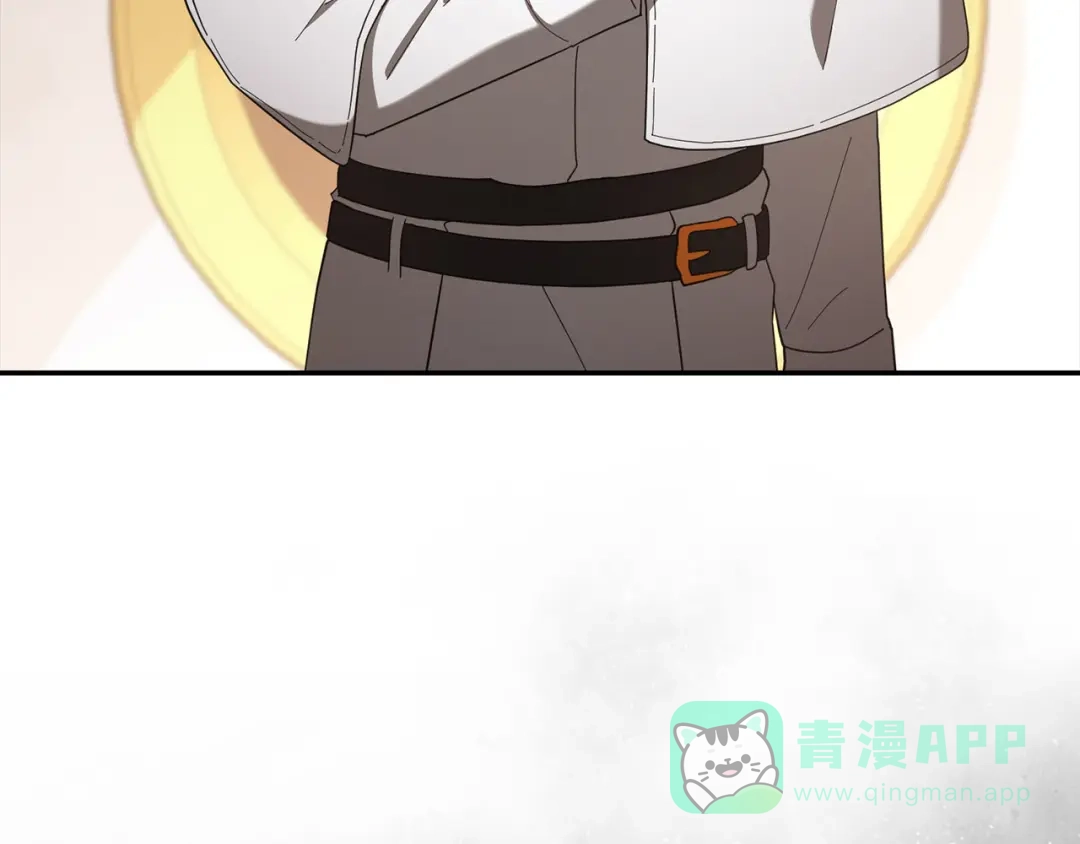第231页