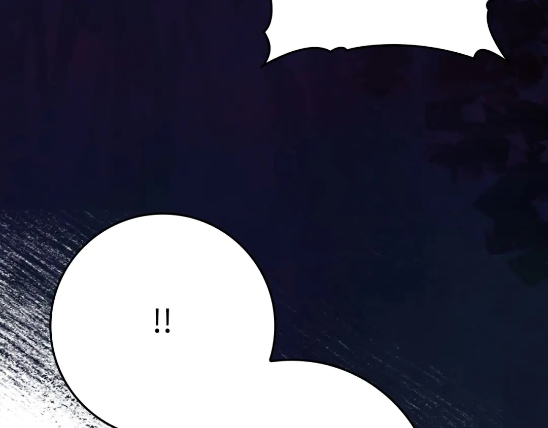 第243页
