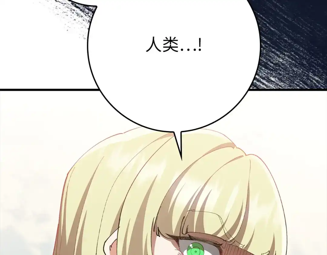第244页