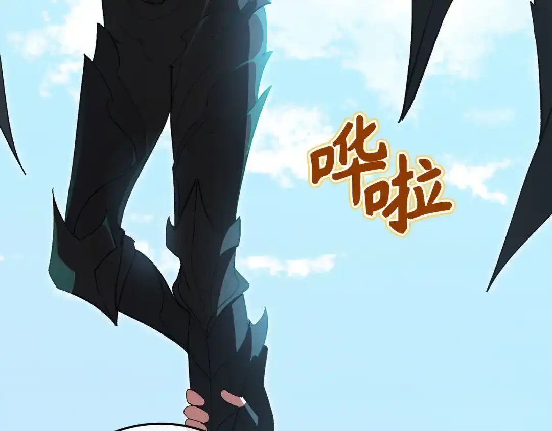 第217页