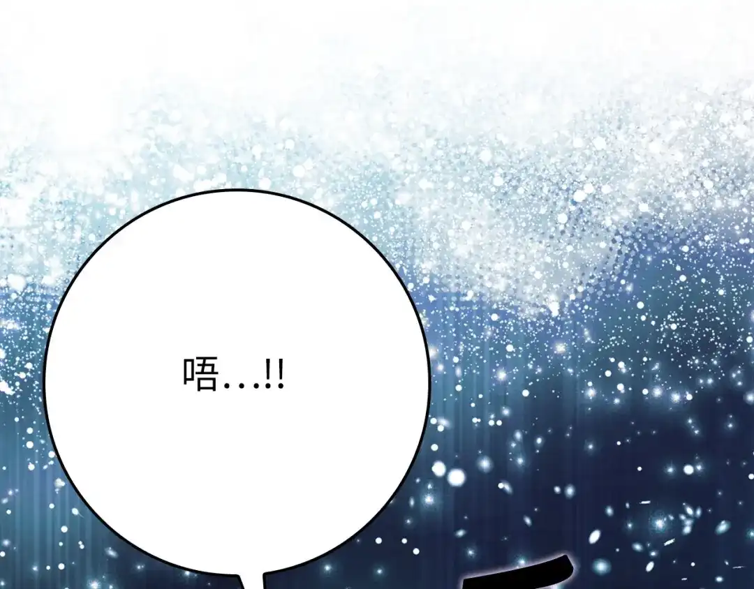 第251页