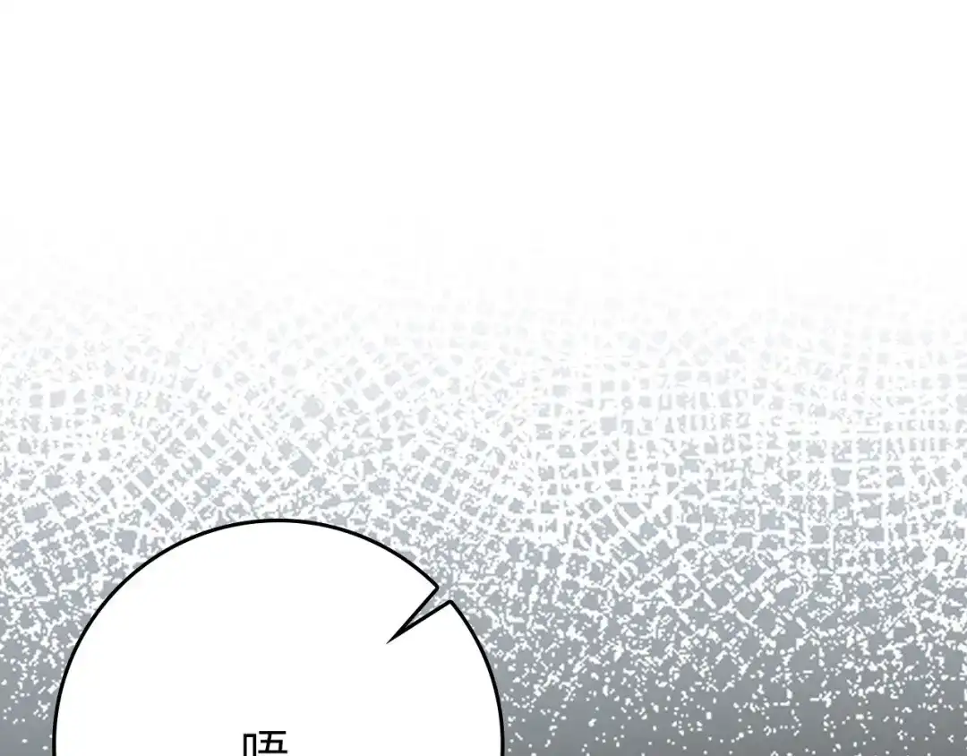 第282页