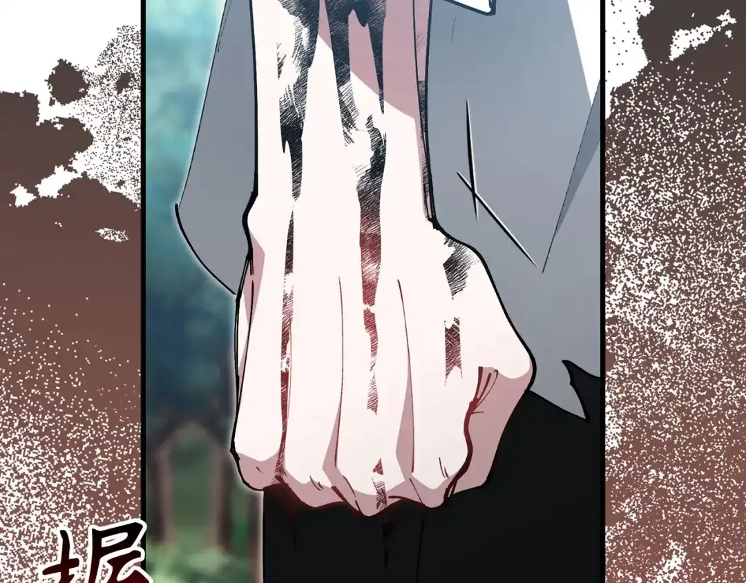 第223页