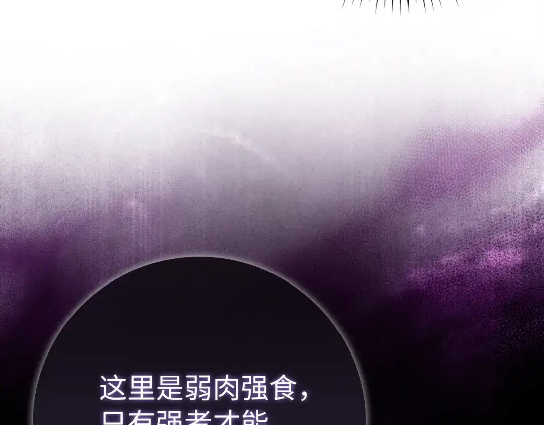 第239页