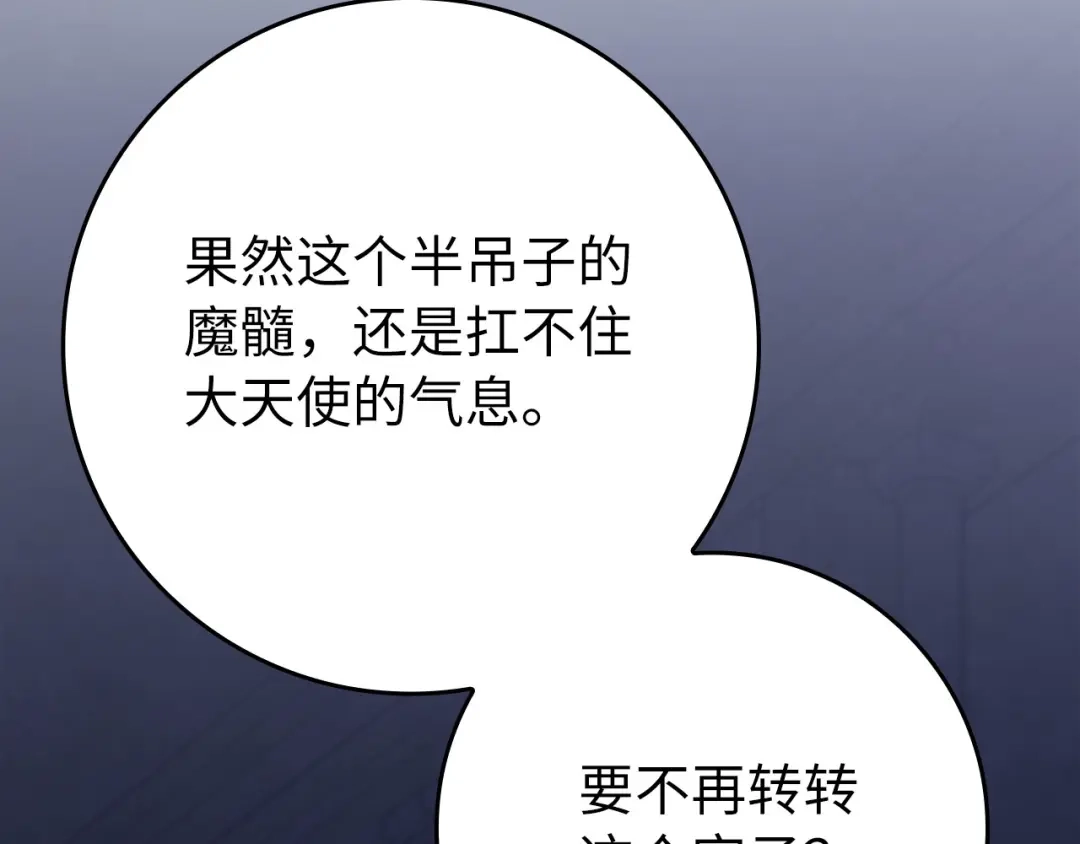 第205页