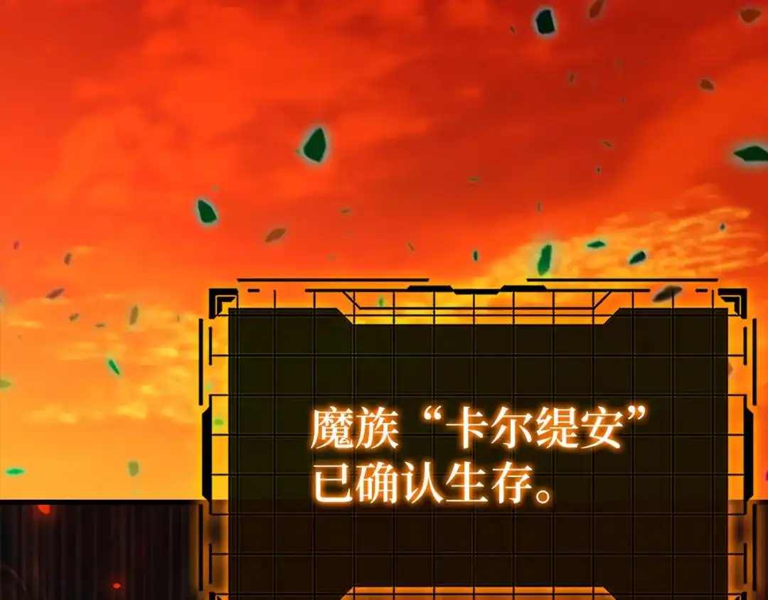 第243页
