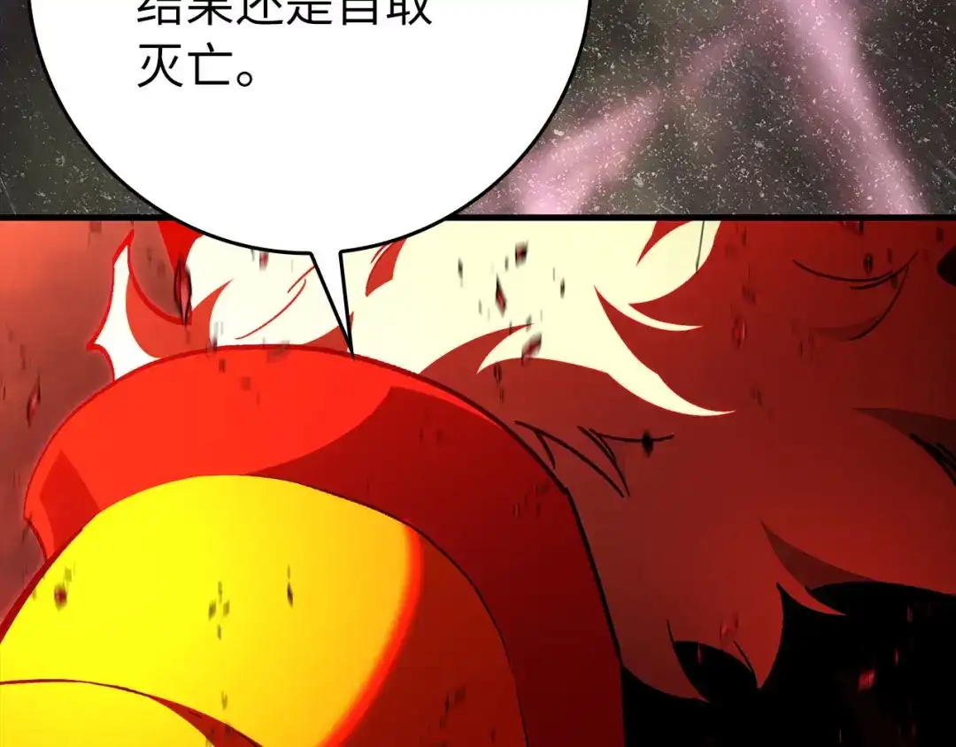 第260页
