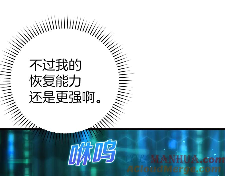 第221页
