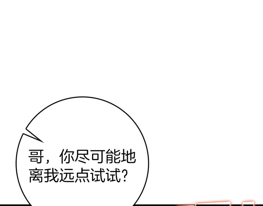 第254页