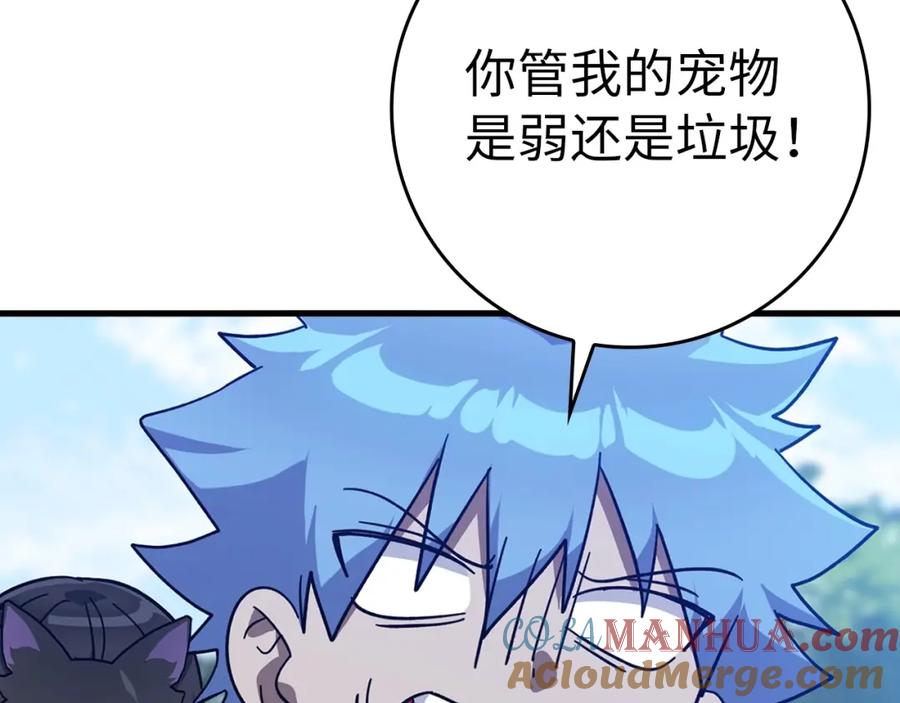第204页