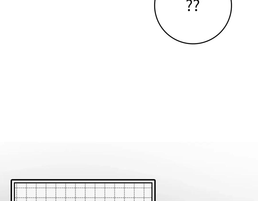 第229页