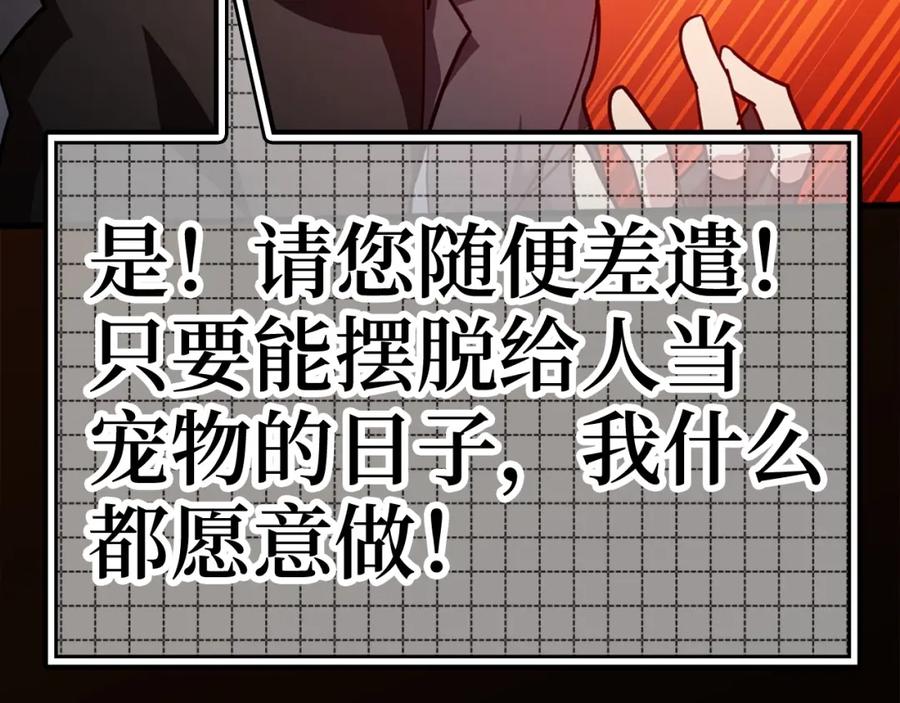 第241页