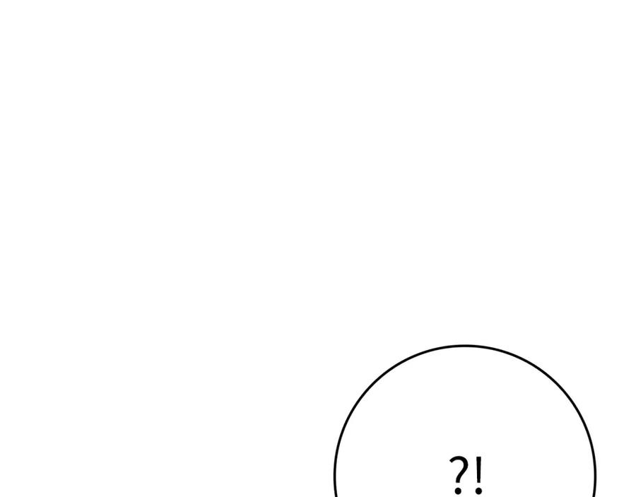 第255页