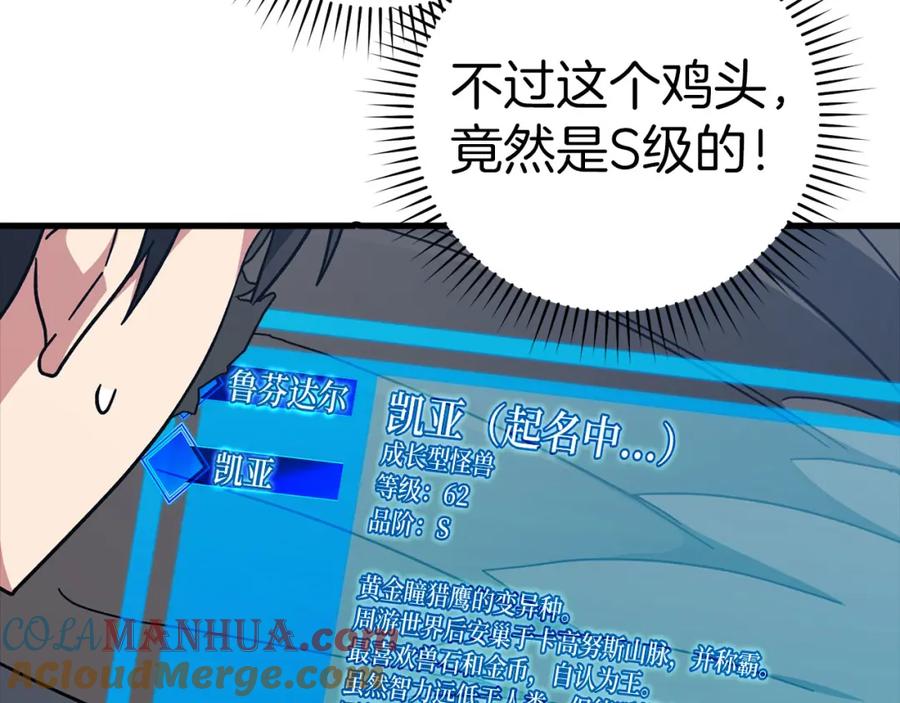 第213页