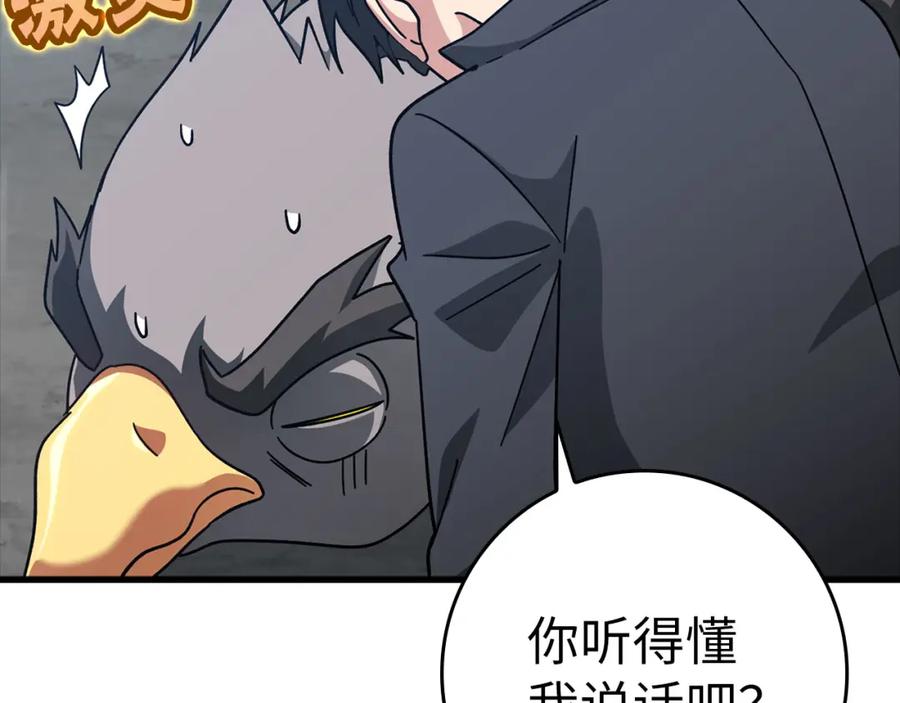 第222页