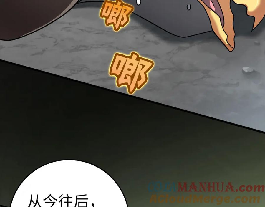第229页