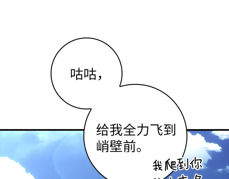 第262页