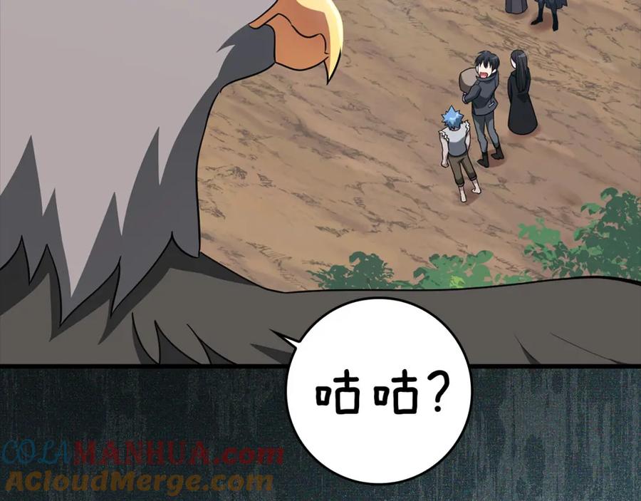 第233页