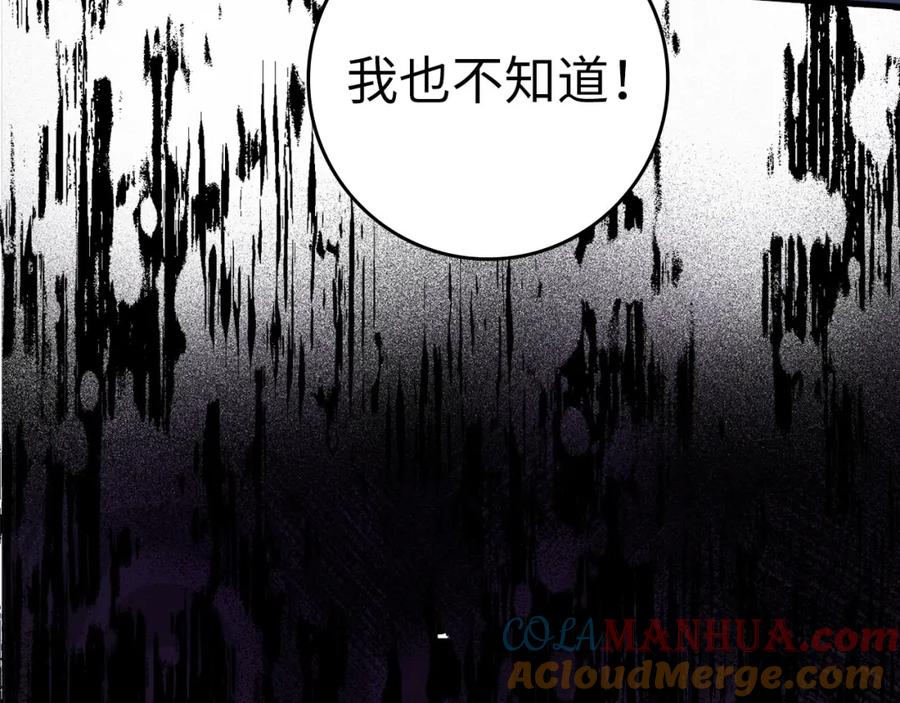 第241页