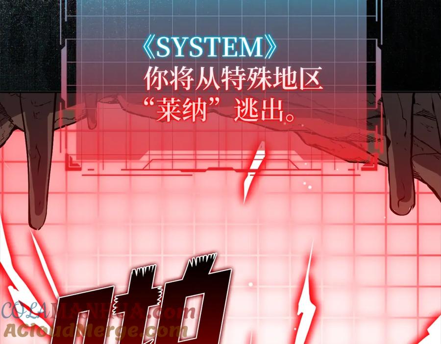 第229页