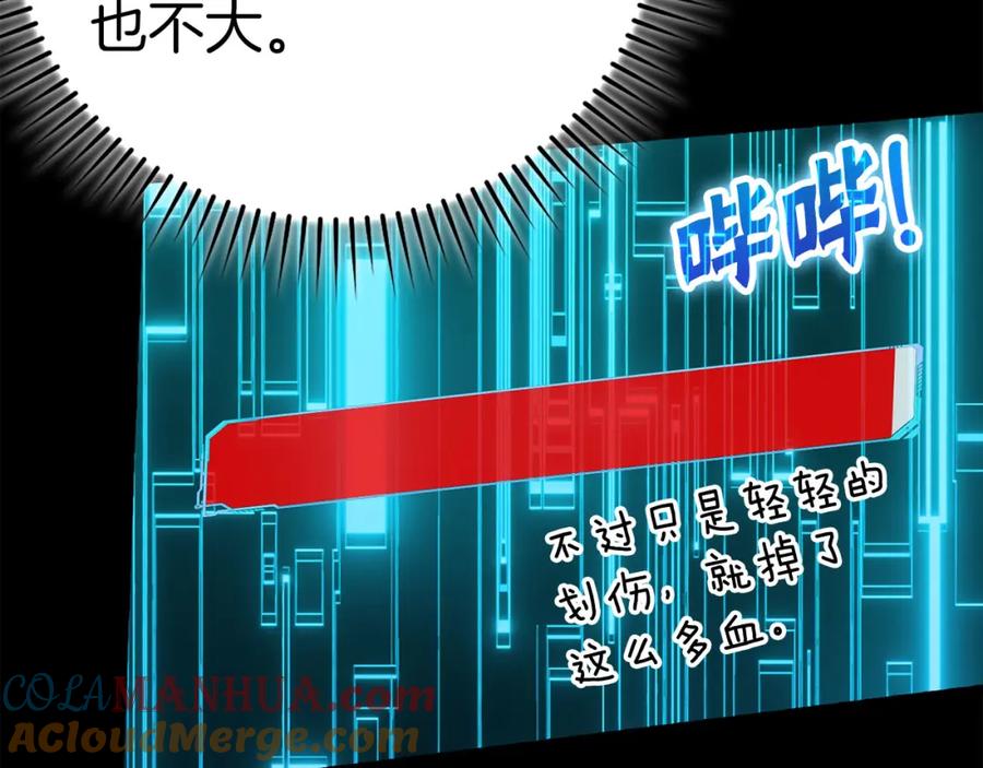 第233页