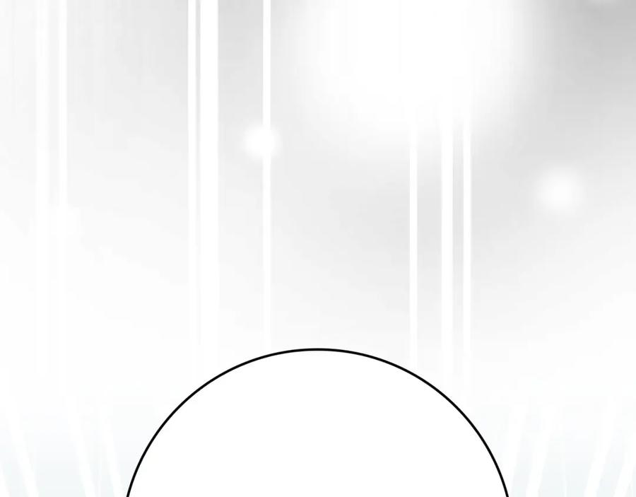 第238页