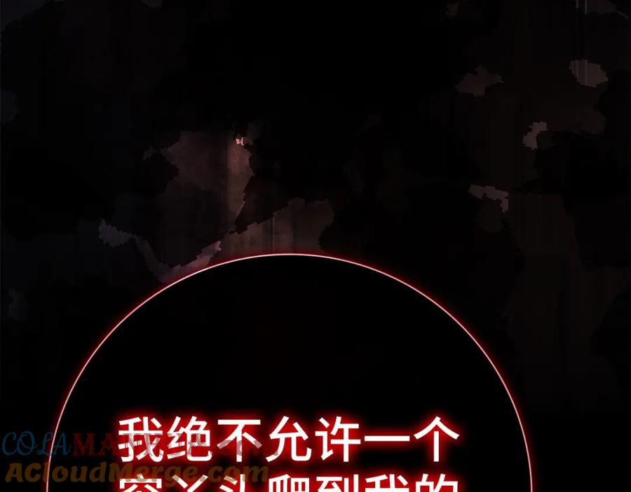 第221页
