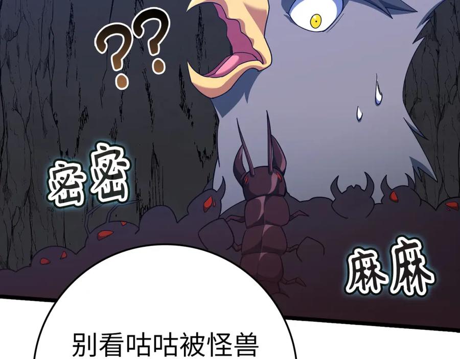 第214页