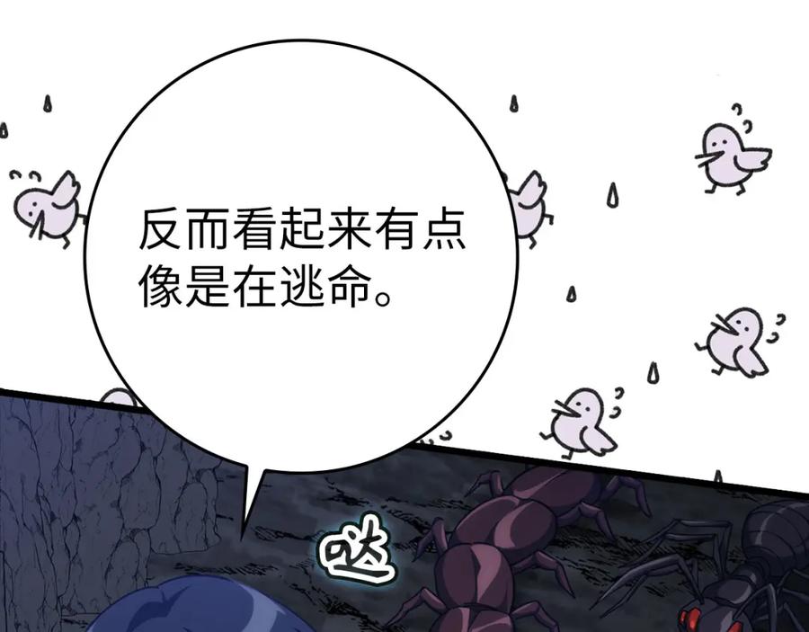第216页