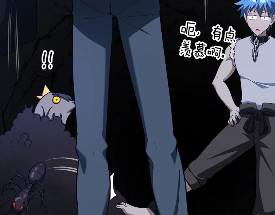 第224页
