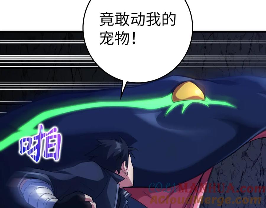 第213页