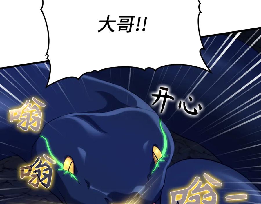 第223页