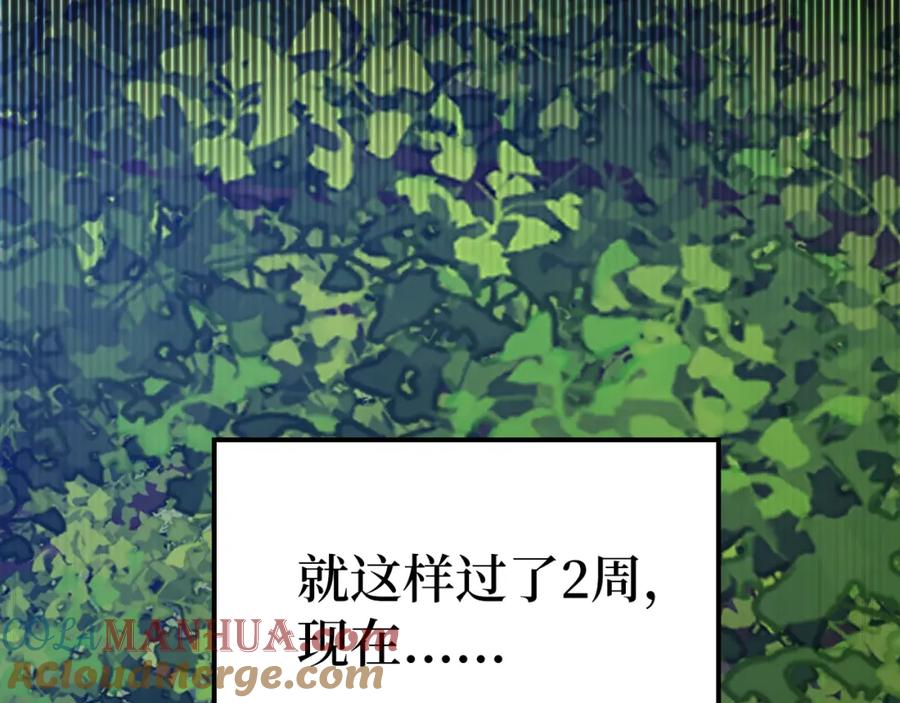 第233页