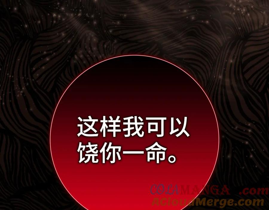 第217页