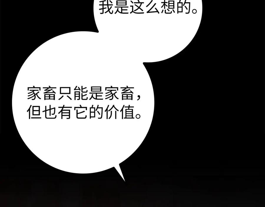 第294页