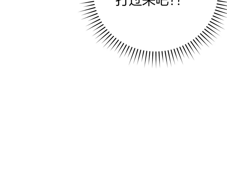 第238页