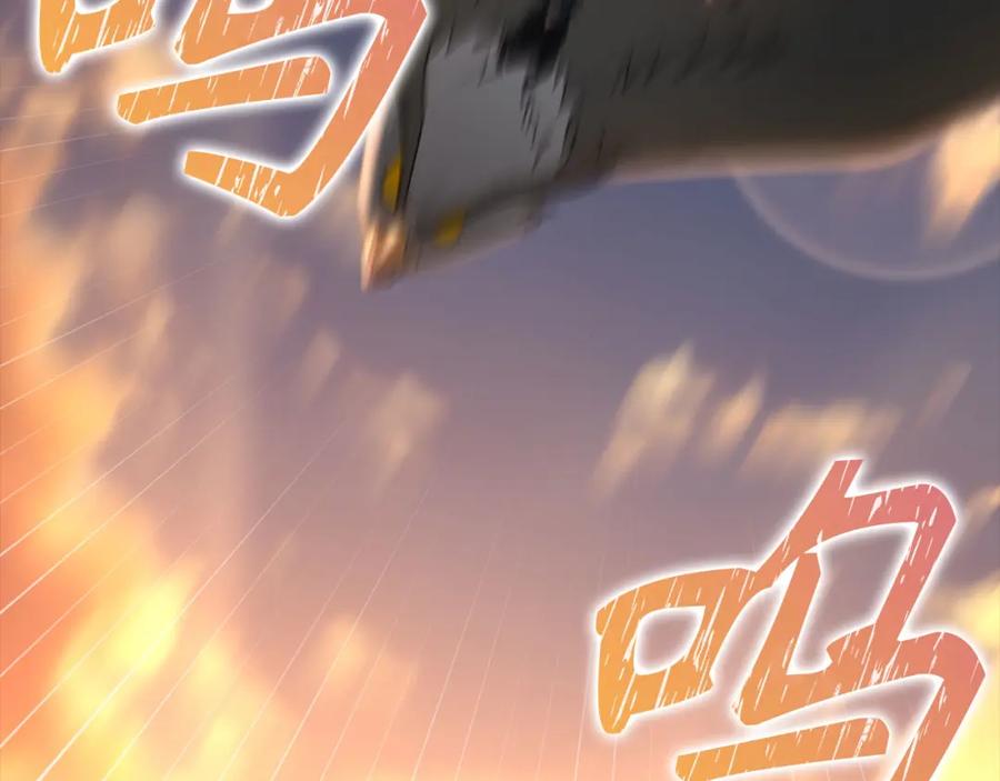 第251页