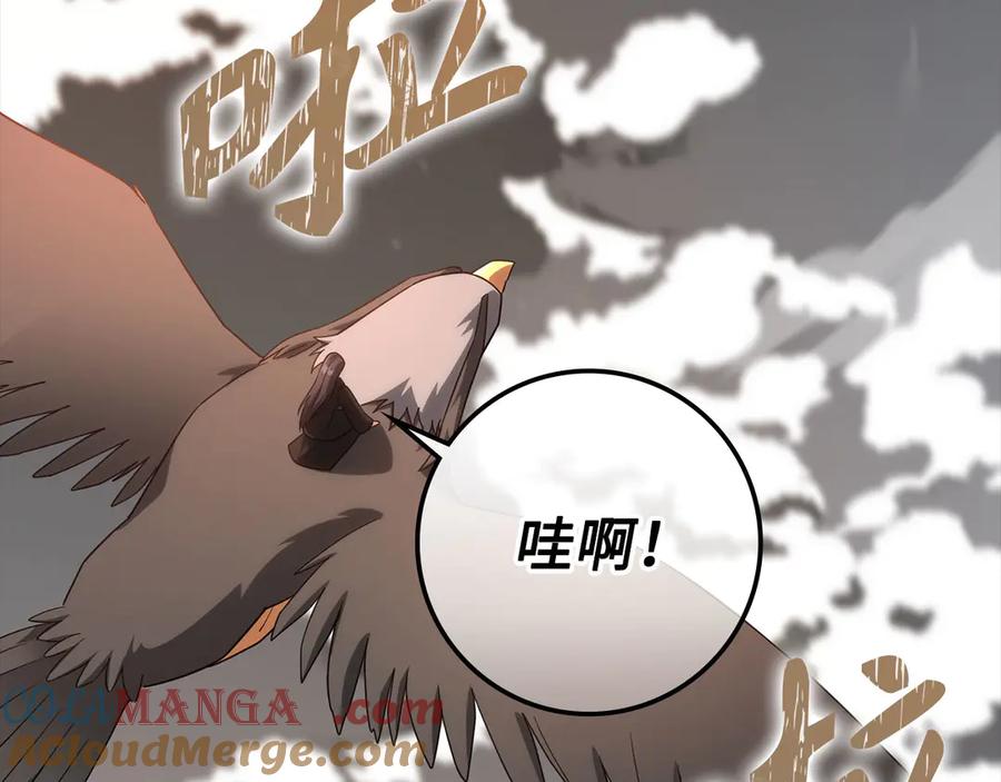 第217页